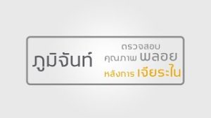 ตรวจสอบพลอยหลังการเจียระไน